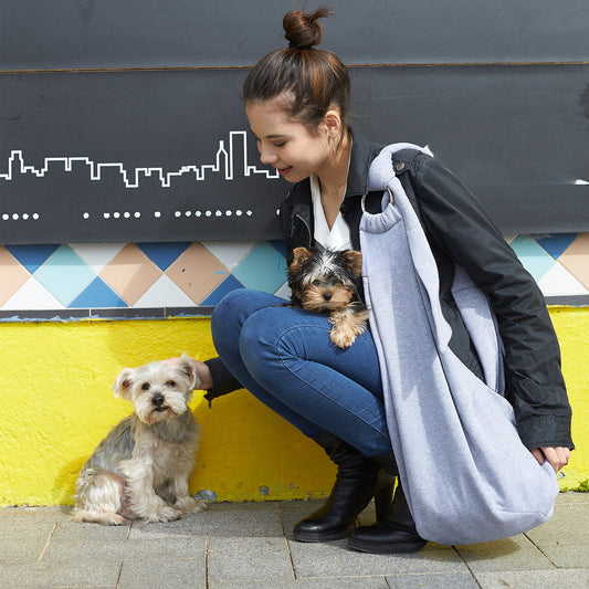 Chico Grey Pet Sling Carrier with Adjustable Strap