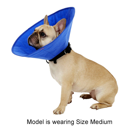 Cobaalt Recovery Collar