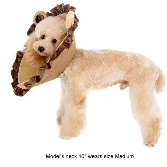 Noah Lion Recovery Collar