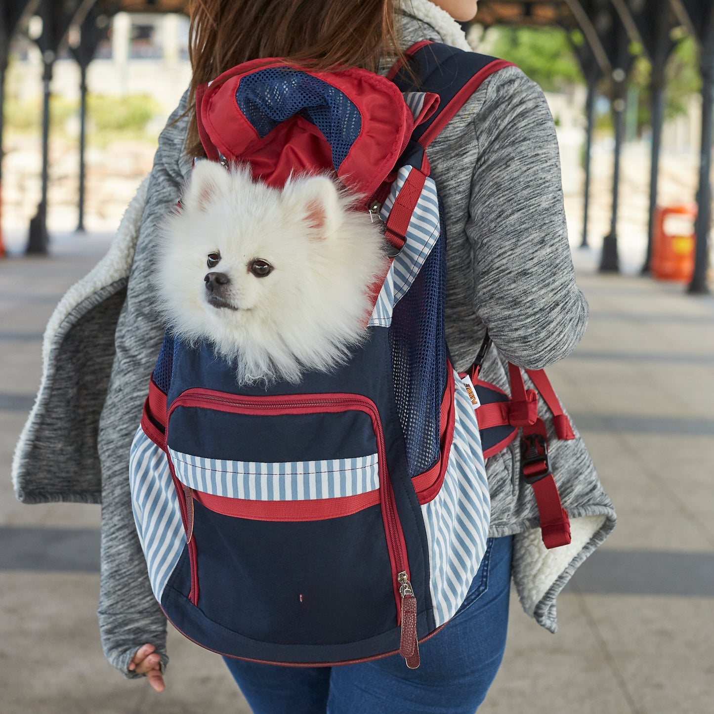 Parkeer Pet Backback
