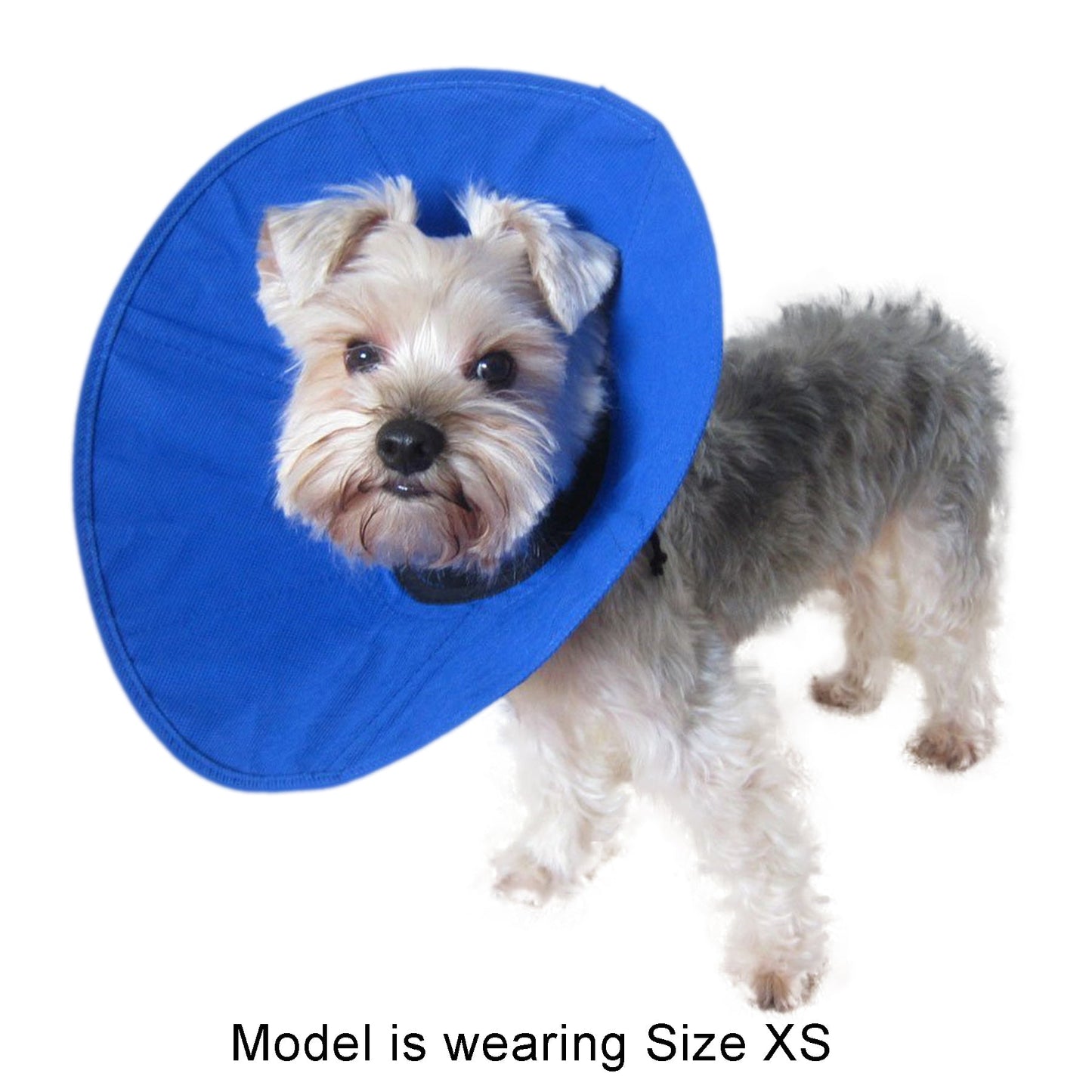 Cobaalt Recovery Collar