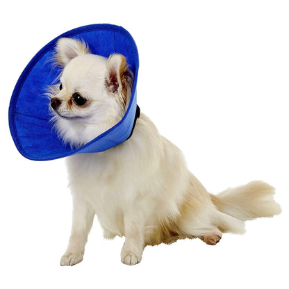 Cobaalt Recovery Collar