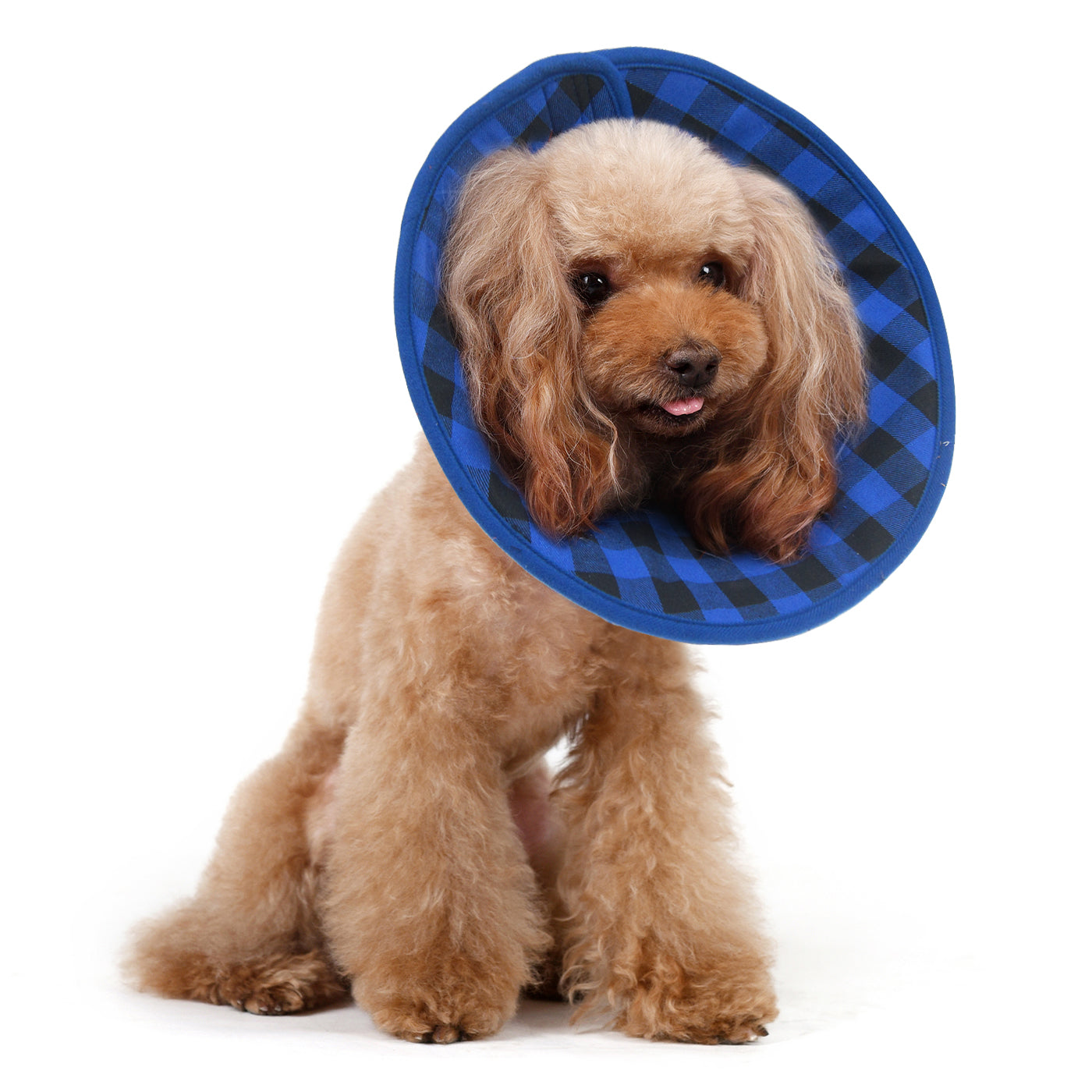 Flannel Soft Recovery Collar Blue