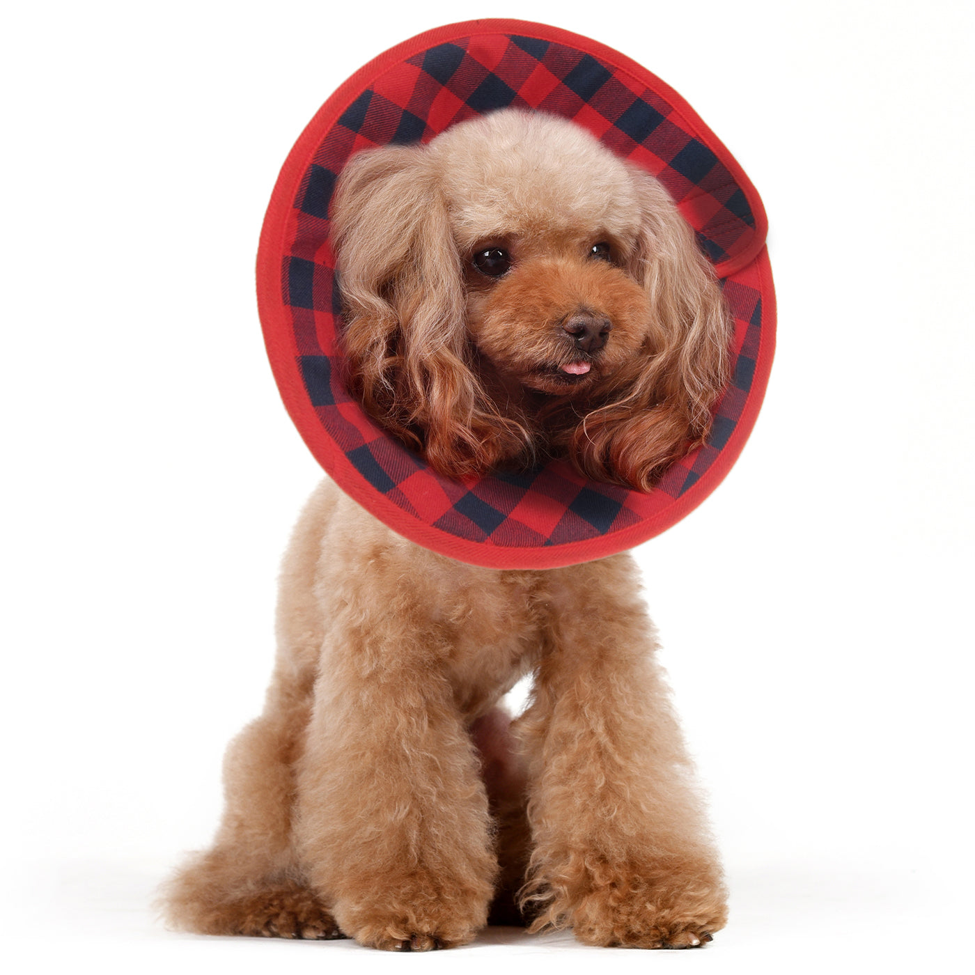 Flannel Soft Recovery Collar Red