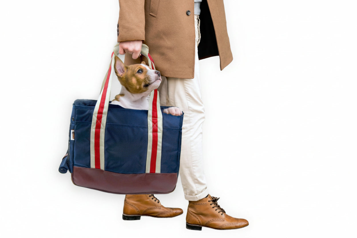 Ethaan Pet Carrier