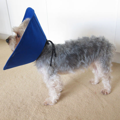 Cobaalt Recovery Collar