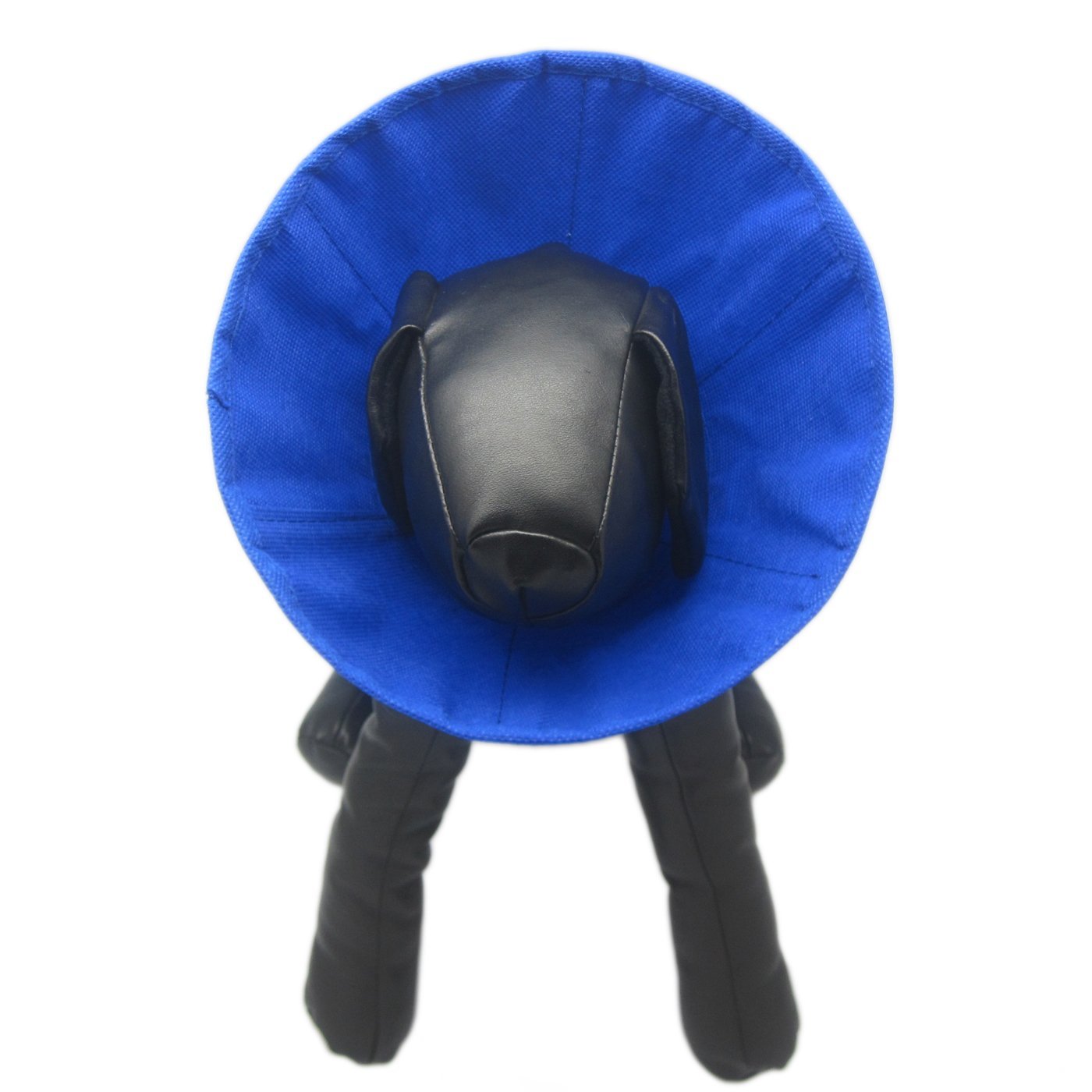 Cobaalt Recovery Collar