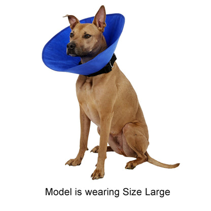 Cobaalt Recovery Collar