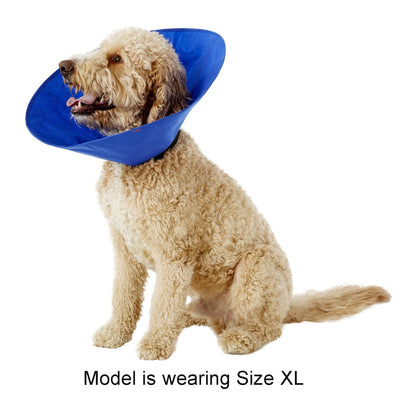 Cobaalt Recovery Collar