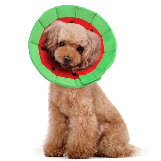 Watermelon Recovery Collar