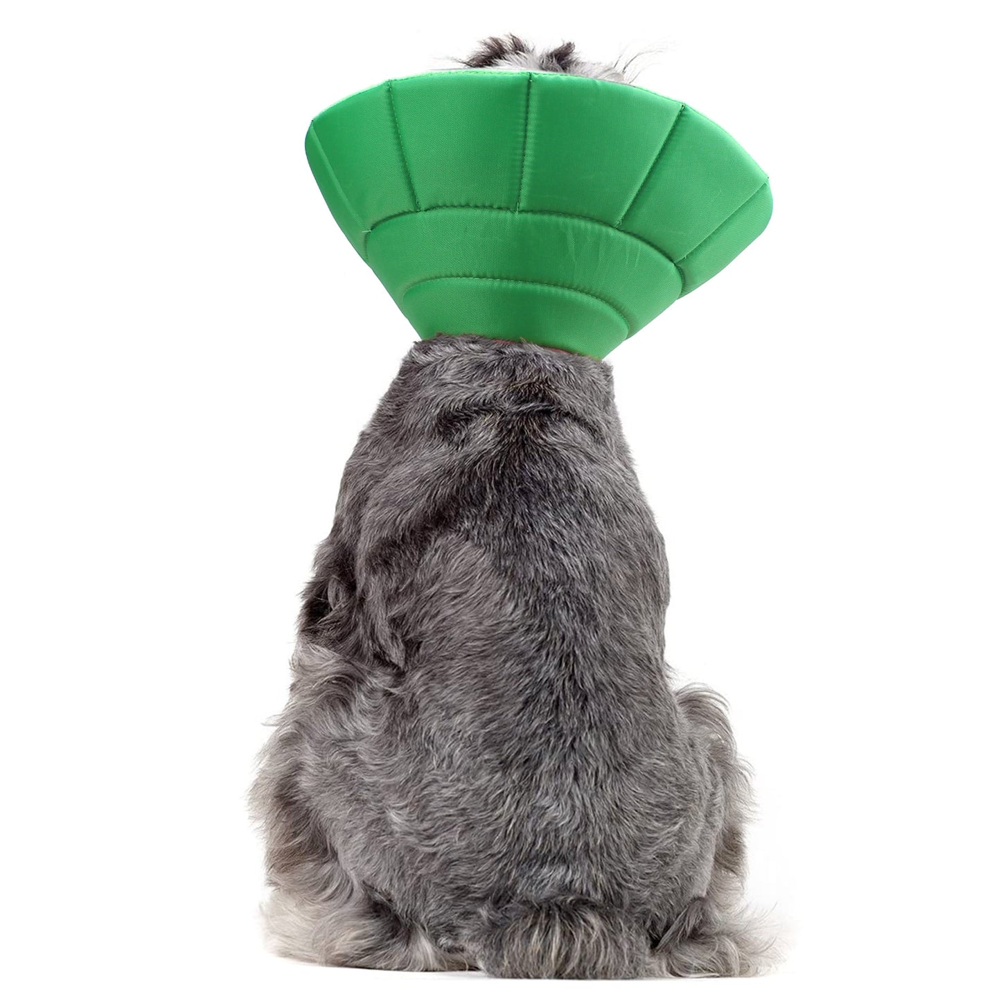 Watermelon Recovery Collar