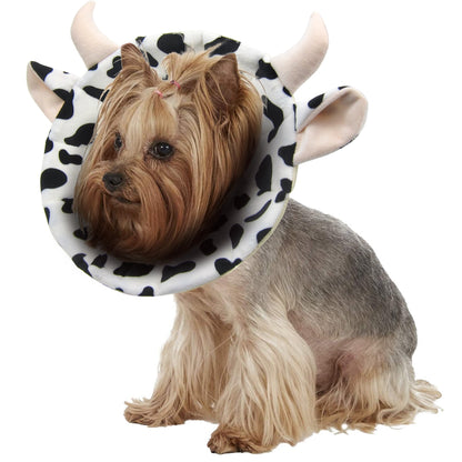 Noah Cow Recovery Collar