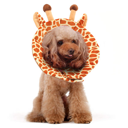 Noah Recovery Collar