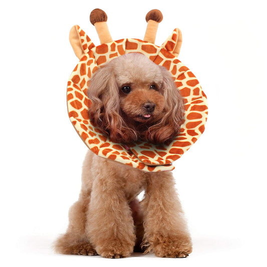 Noah Recovery Collar