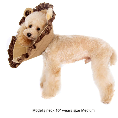 Noah Lion Recovery Collar