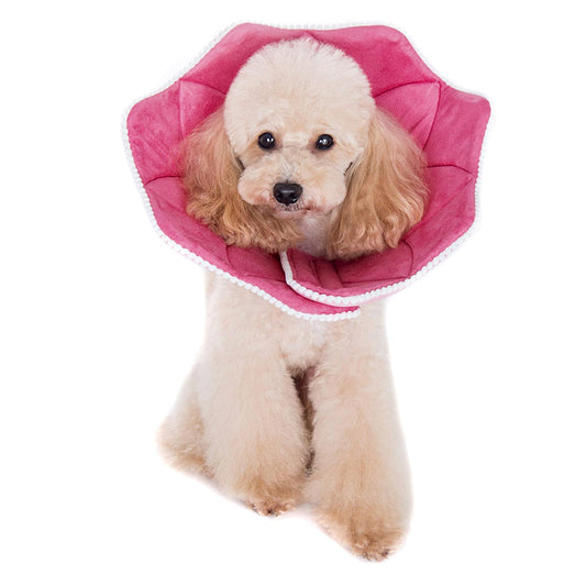 Pink PomPom Recovery Collar