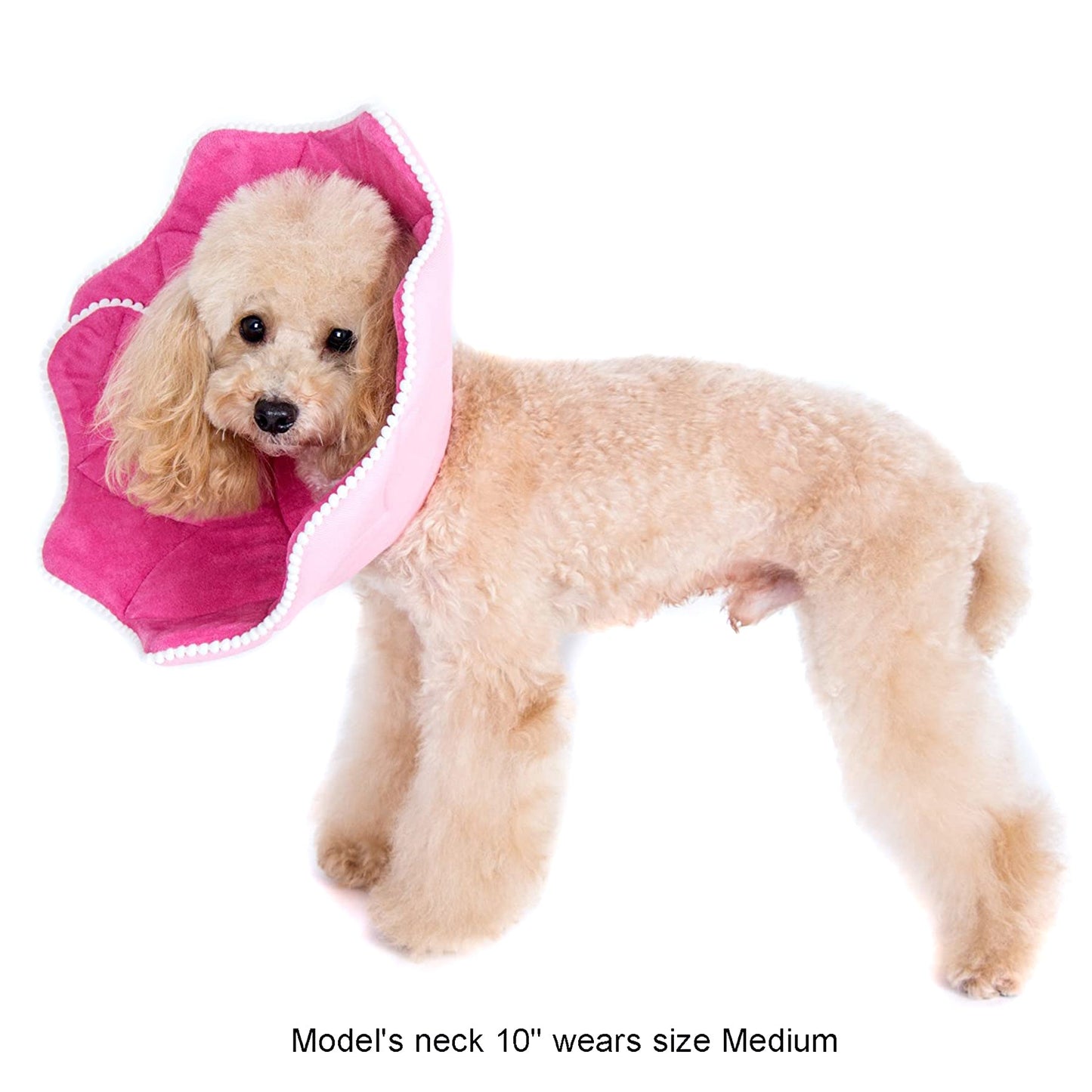 Pink PomPom Recovery Collar