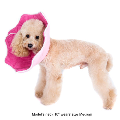 Pink PomPom Recovery Collar