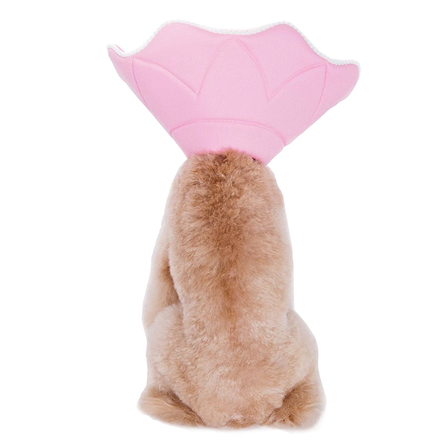 Pink PomPom Recovery Collar