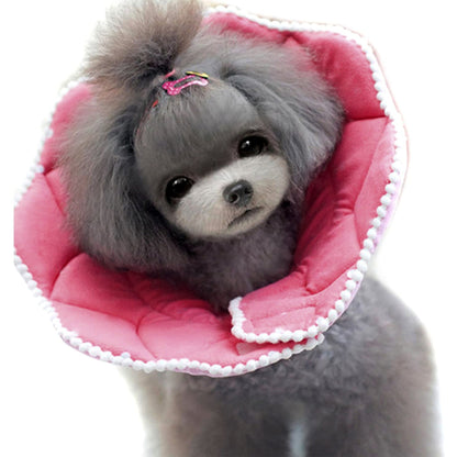 Pink PomPom Recovery Collar