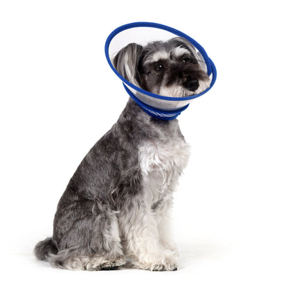 Zumi Recovery Collar with Soft Edge V2 Blue - Velcro Closure