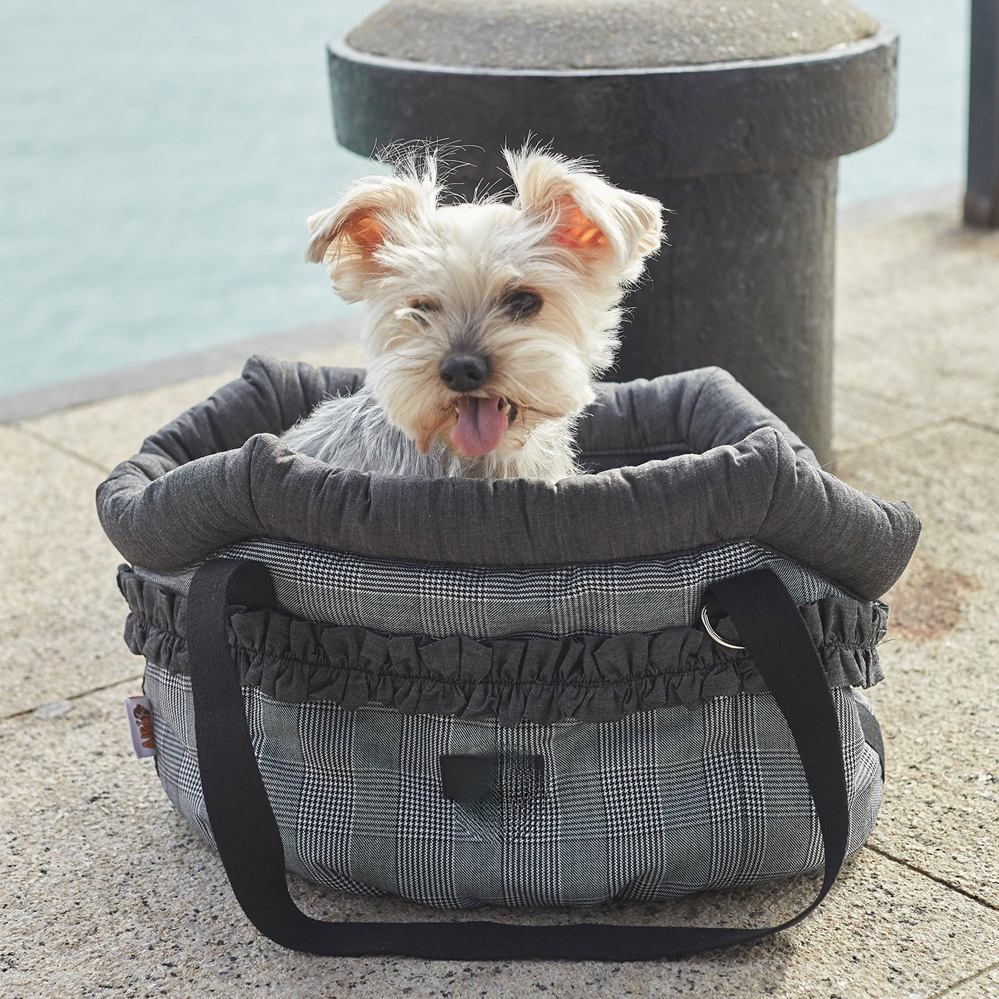 Vetease Pet Carrier